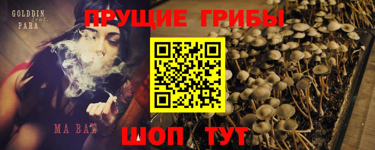 дарнет шоп  Вход с VPN  Ревда  Галлюциногенные грибы Psilocybine cubensis 